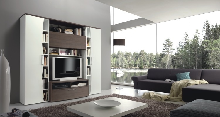 Composition of CADDY lounge with library and TV stand with doors or panels